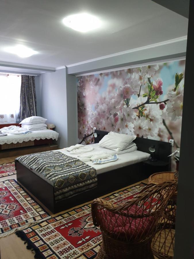 Vila Muntii Bucegi & Spa Bran  Luaran gambar