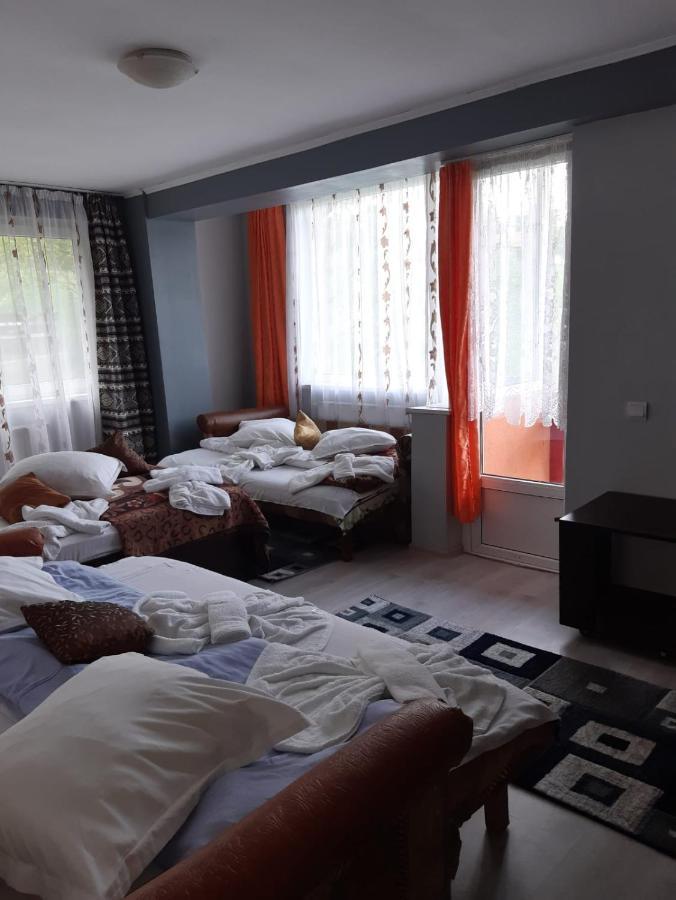 Vila Muntii Bucegi & Spa Bran  Luaran gambar