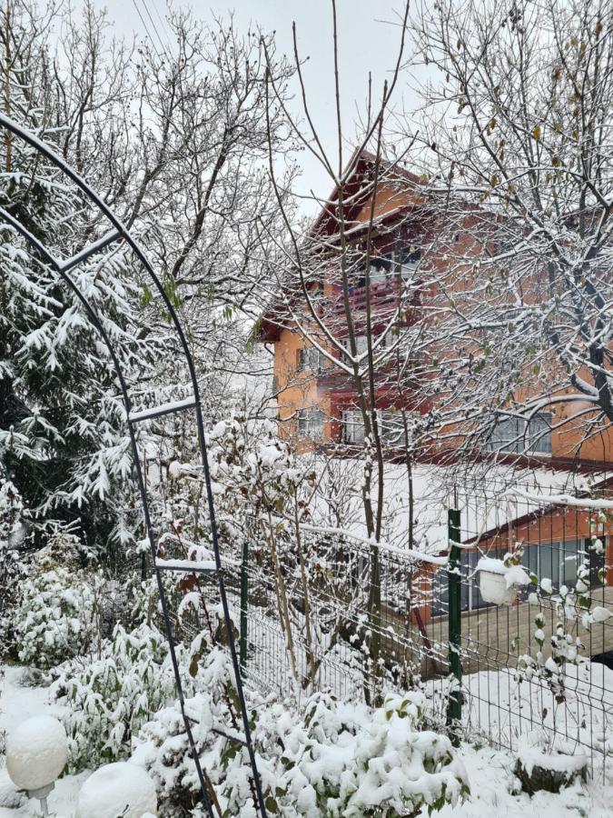 Vila Muntii Bucegi & Spa Bran  Luaran gambar