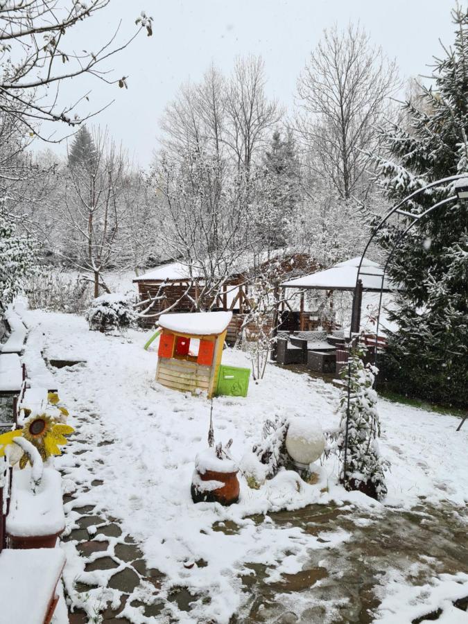 Vila Muntii Bucegi & Spa Bran  Luaran gambar