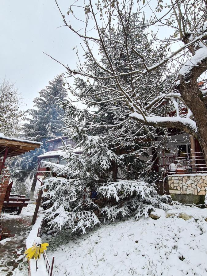 Vila Muntii Bucegi & Spa Bran  Luaran gambar