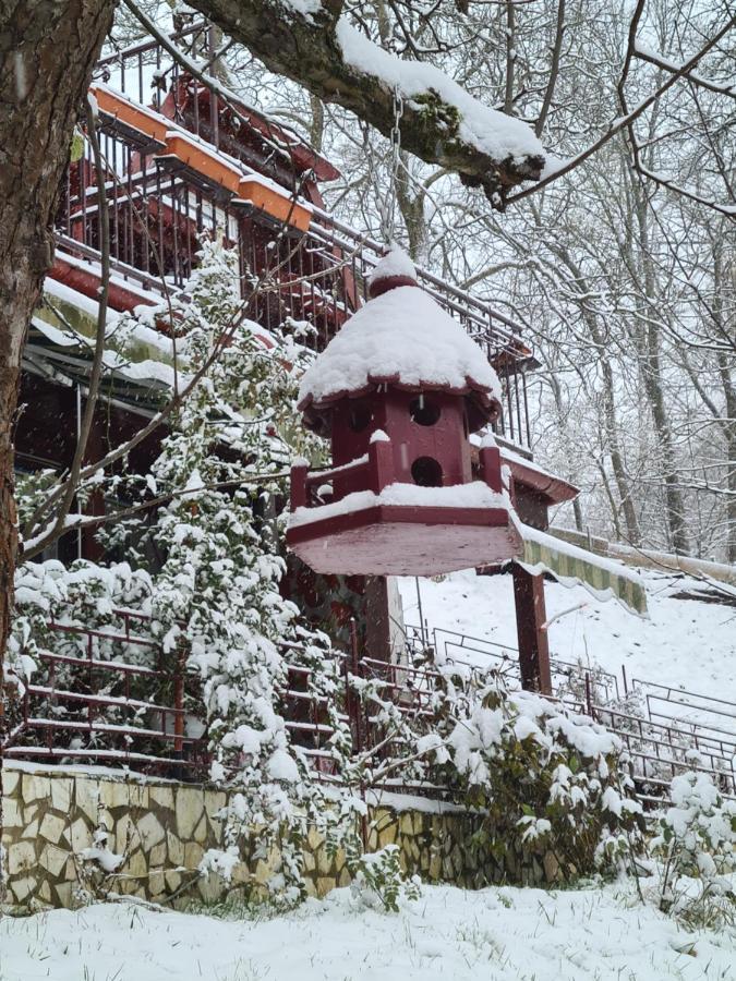 Vila Muntii Bucegi & Spa Bran  Luaran gambar