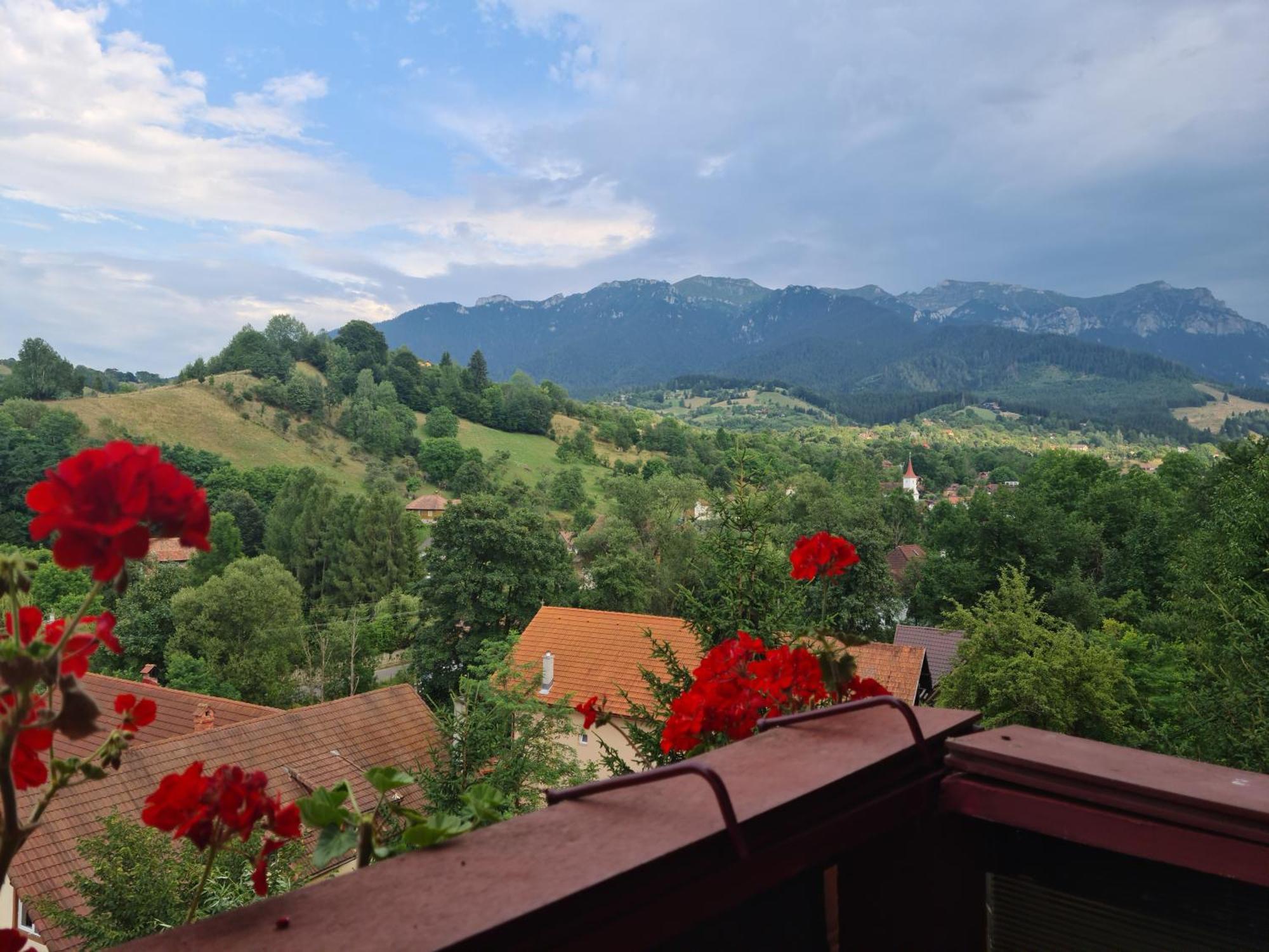 Vila Muntii Bucegi & Spa Bran  Luaran gambar