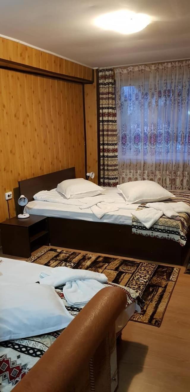 Vila Muntii Bucegi & Spa Bran  Luaran gambar