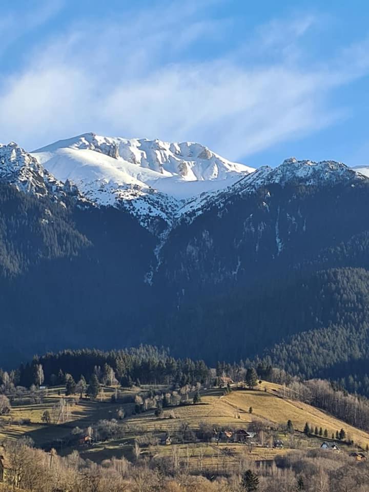 Vila Muntii Bucegi & Spa Bran  Luaran gambar