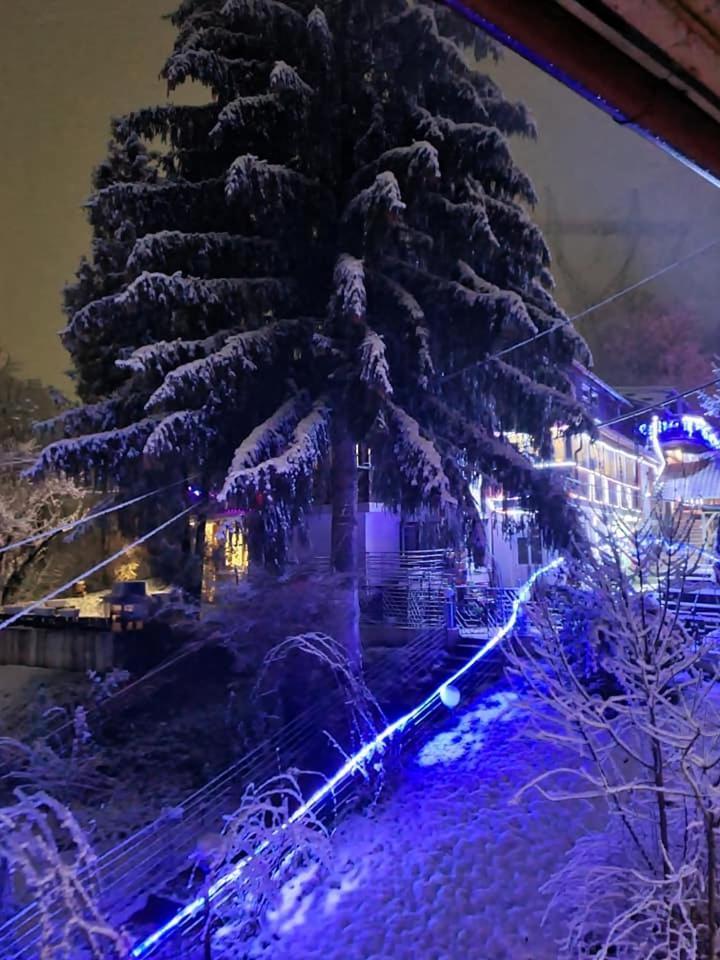 Vila Muntii Bucegi & Spa Bran  Luaran gambar