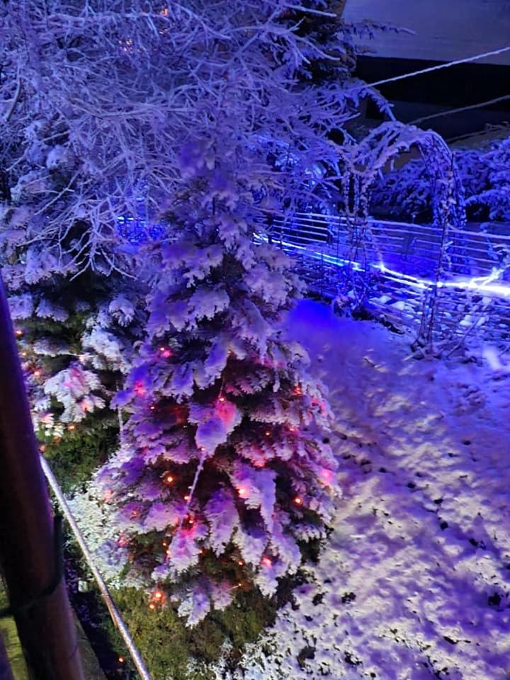 Vila Muntii Bucegi & Spa Bran  Luaran gambar